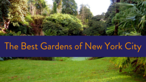 The best gardens in NYC